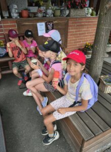 IMG_20250619_134748723_HDR.jpg