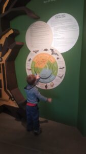 IMG_20241016_095704.jpg